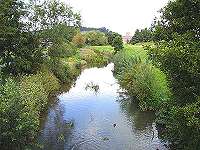 River Brit - Bridport