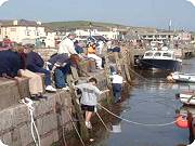 Crabbing in the Harbour