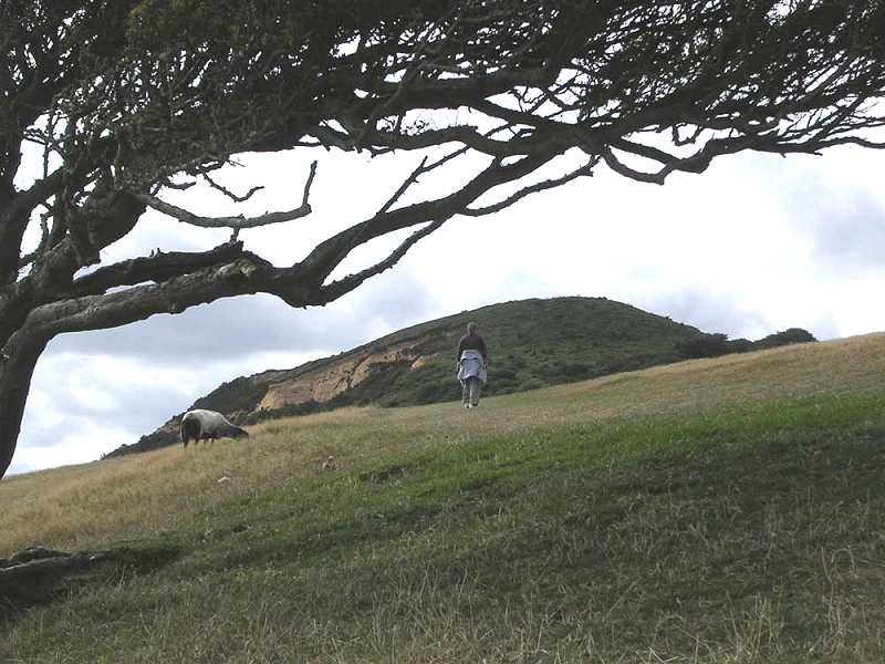 Ascent to Golden Cap (Jon Harvey)