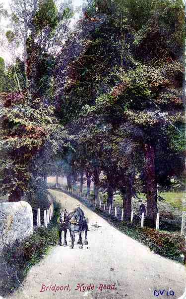 Walditch, Bridport - Hyde Road